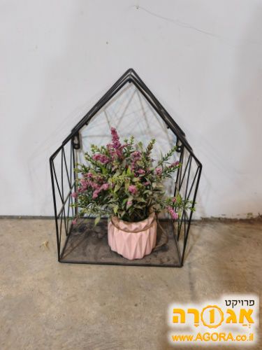 קישוט נוי