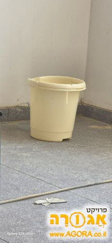 דלי
