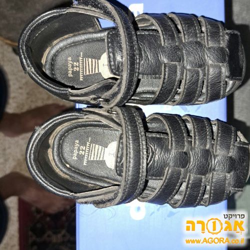 סנדלים פאפייה 22