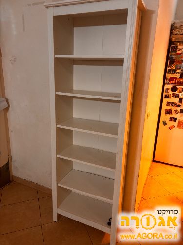 כוננית