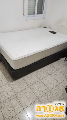 מיטה