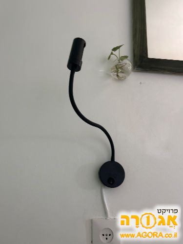 מנורה