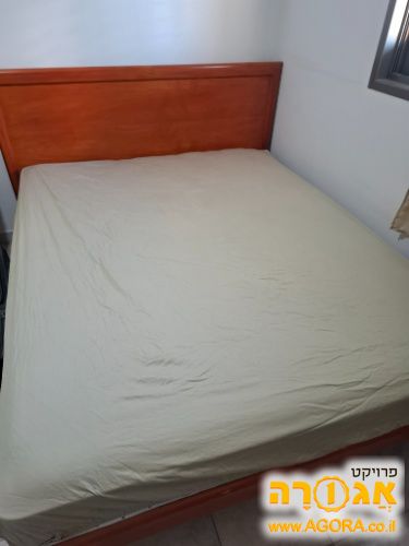 מיטה