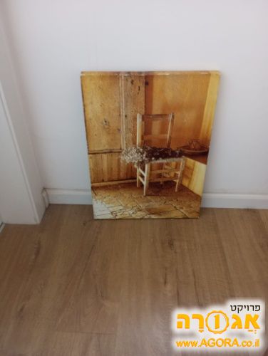 תמונה