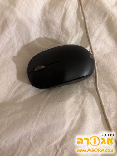 עכבר