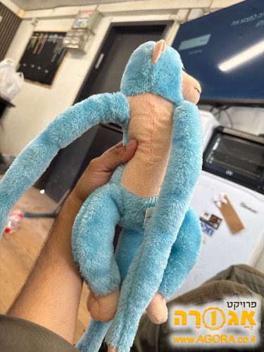 קוף כחול