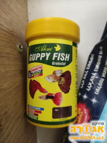 אוכל לדגים