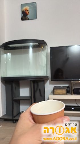 אקווריום חדש נמסר עקב מעבר דירה
