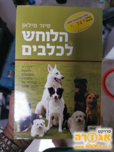 הלוחש לכלבים