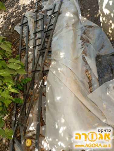 עמודות ספרים ומדפים