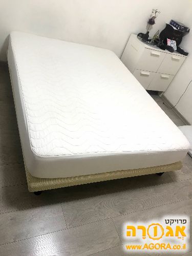 מיטה