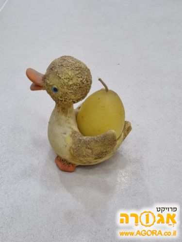 נר על ברווז