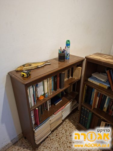 כונן מעץ