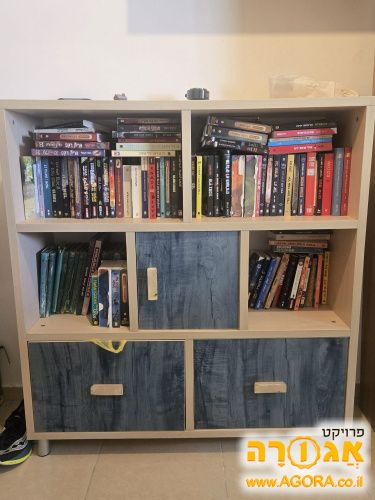 כוורת לספרים