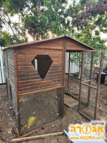 לול תרנגולות חופש
