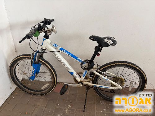 אפניים 20