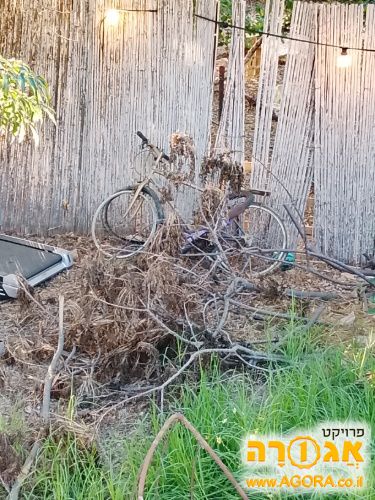 אופניים
