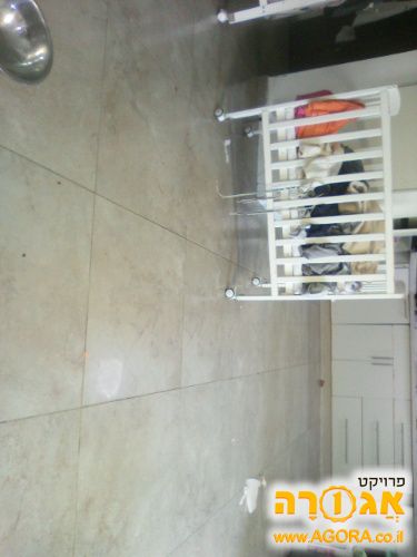 לול