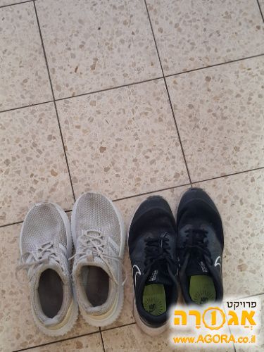 נעלי ספורט
