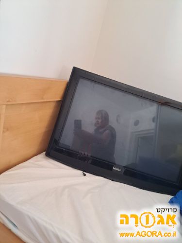טלויזיה