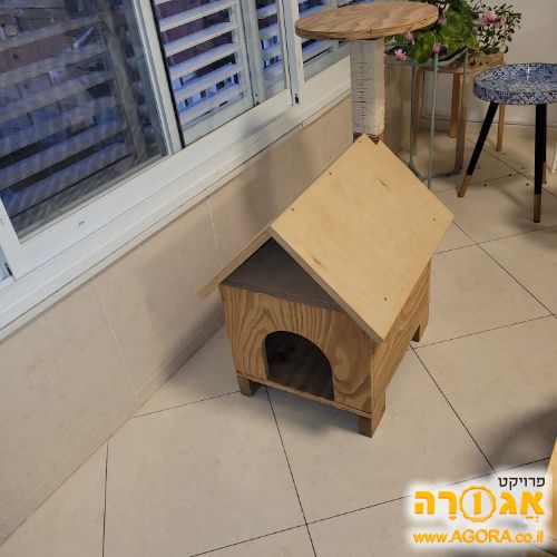 מתקן לחתול
