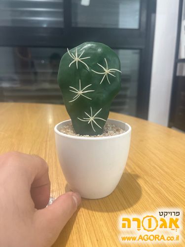 עציץ