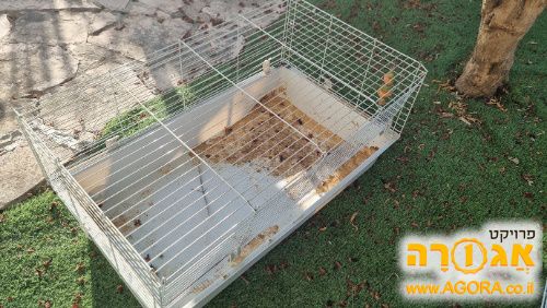 כלוב לארנבון
