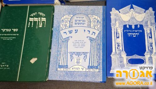 חומש וספרי נביאים לבתי הספר