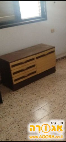 ארונית