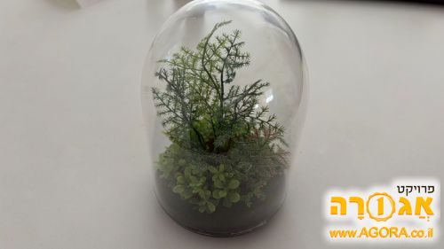 עציץ טרריום פלסטיק