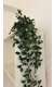 עציץ עלים פלסטיק