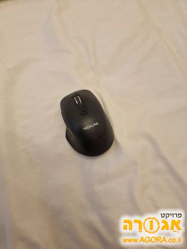 עכבר על חוטי