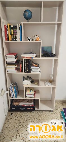 כוננית