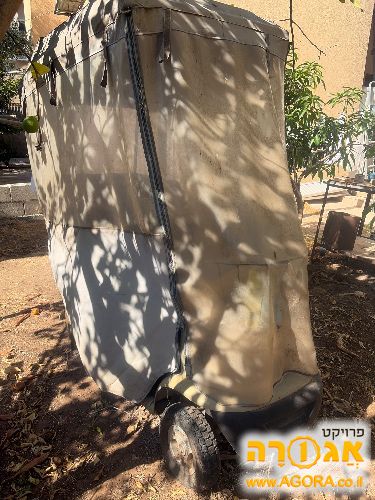 קלנועית