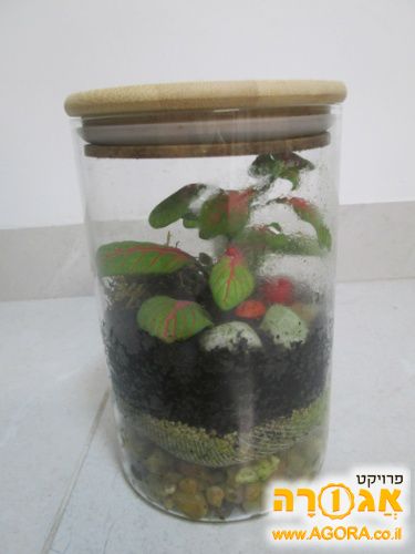 עציץ טרריום
