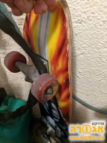 סקייטבורד