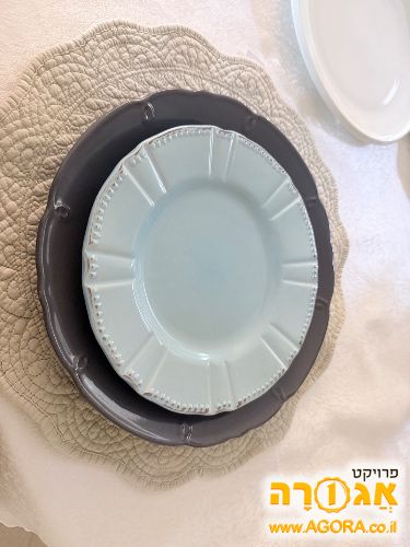 צלחות אוכל