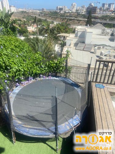 טרמפולינה