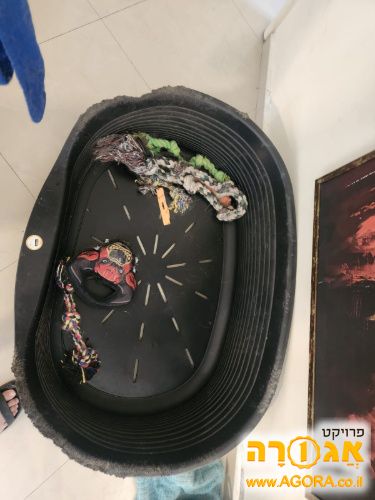 מסגרת מיטה לכלב