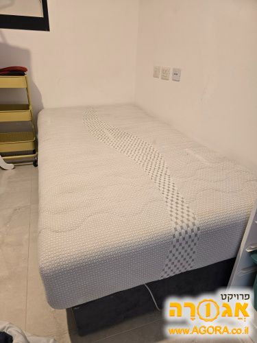 מיטה