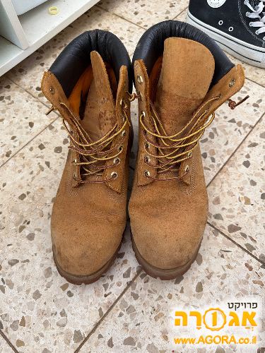 טימברלנד במצב טוב מאוד