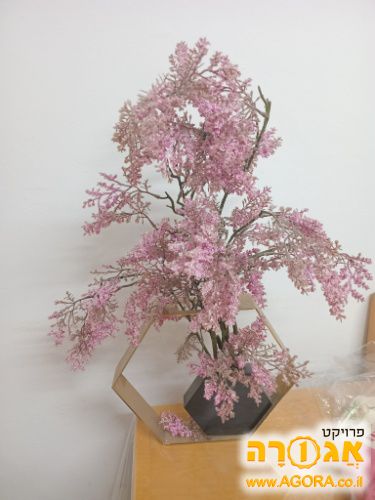 אגרטל