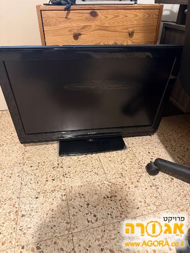 טלויזיה 32 הרצליה