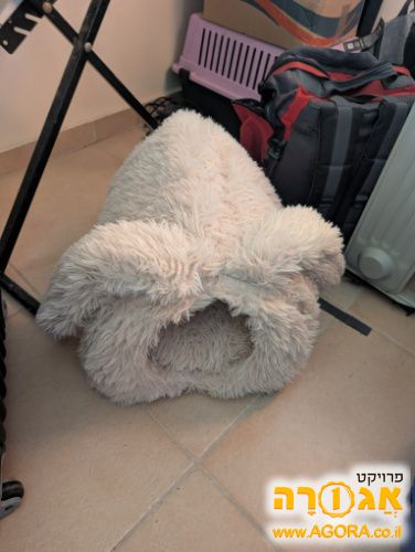 כרית סגורה לחתול