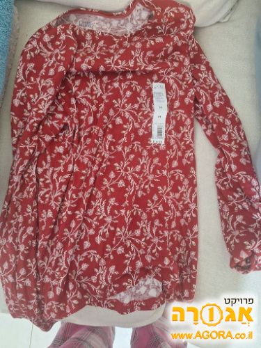 חולצה