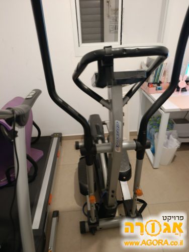 אלפטיקל