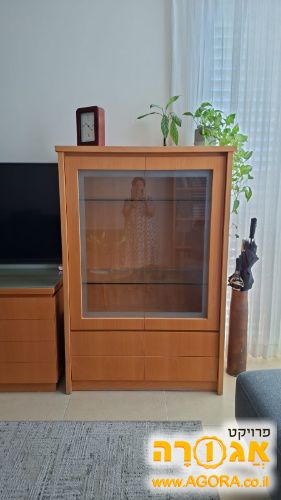 ארונית זכוכית