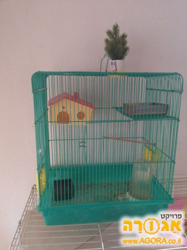 כלוב קטן