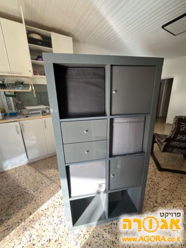 כוורת אפורה