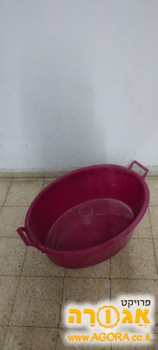 גיגית